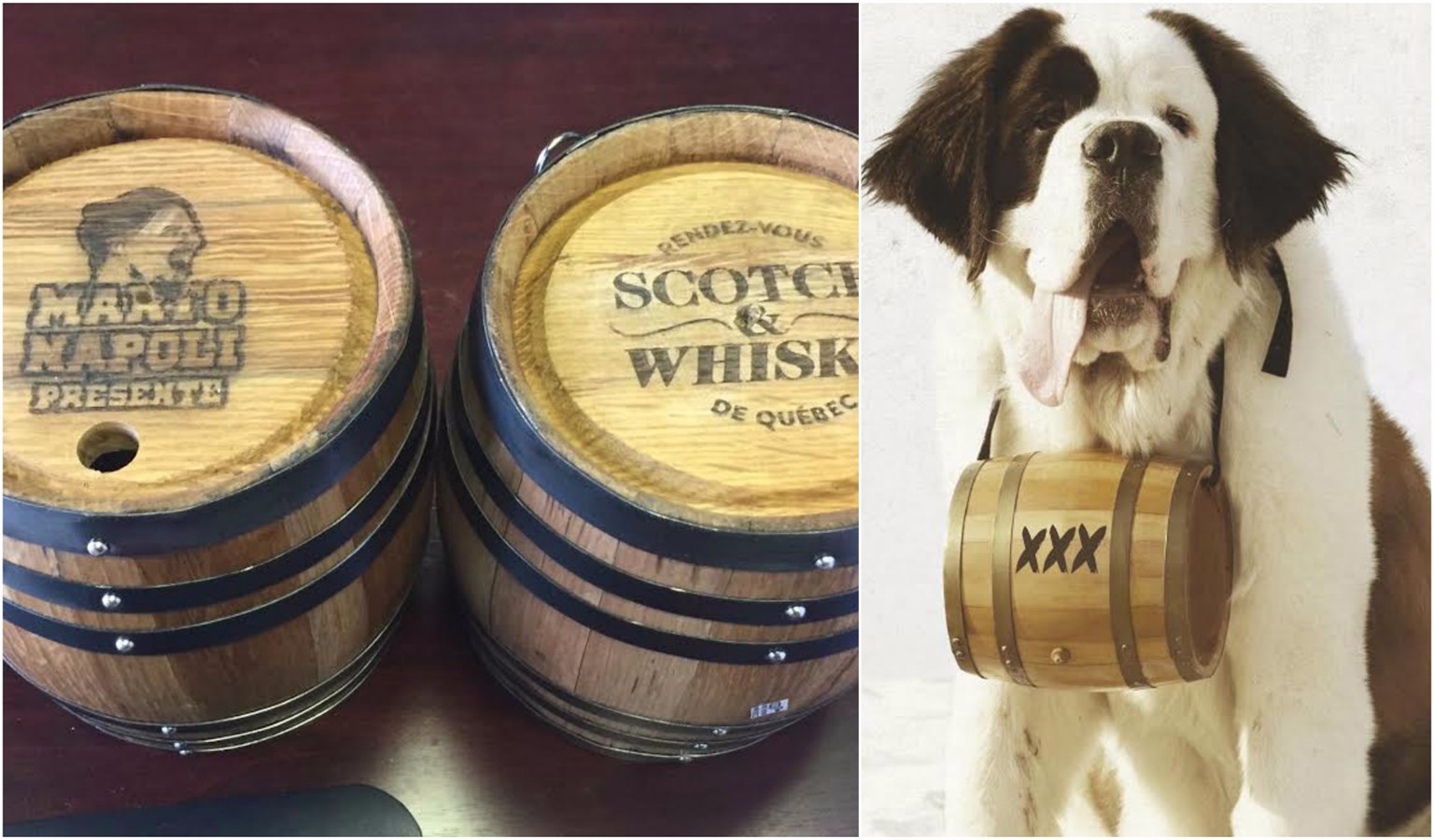 Marto Napoli offrira du whiskey brassé par un Saint-Bernard