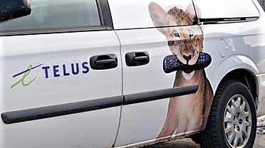 D’ici la fin de l’année 2017, le réseau PureFibre de TELUS sera disponible dans 40 communautés de Beauce-Etchemin, Bellechasse, L'Islet, Lotbinière, Montmagny et Portneuf.